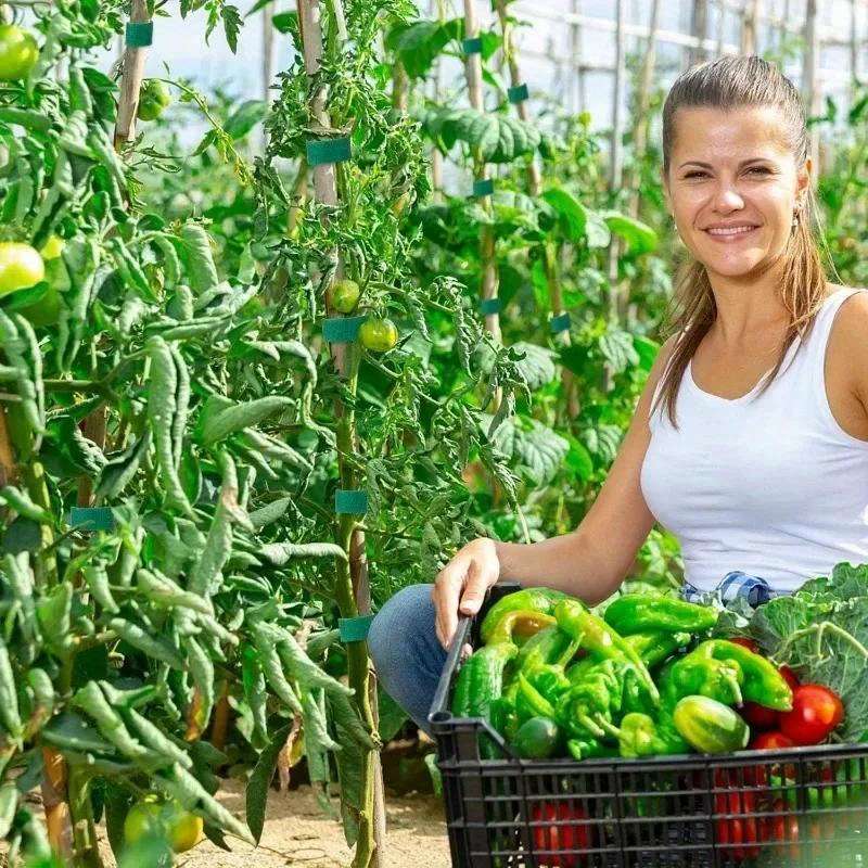 5m/Roll Reusable Nylon Plant Ties