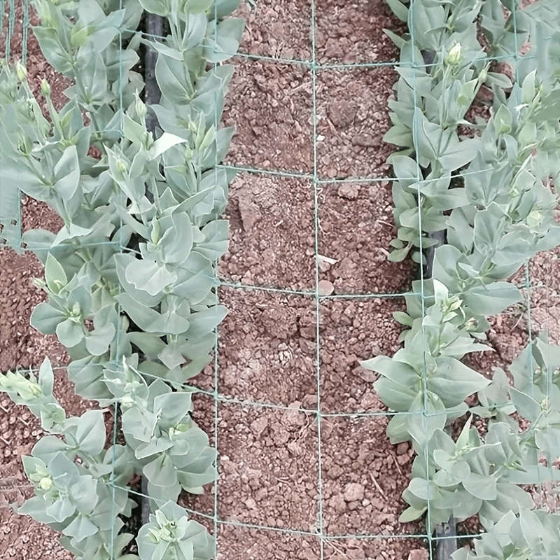 Heavy Duty Polyester Garden Trellis Netting