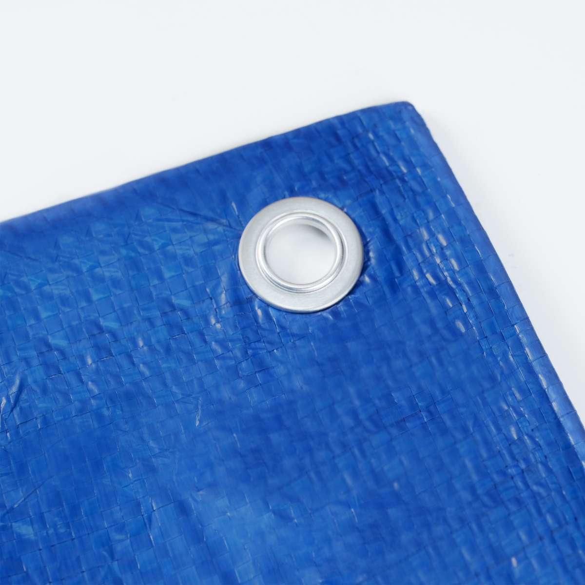 1  Blue Tarp