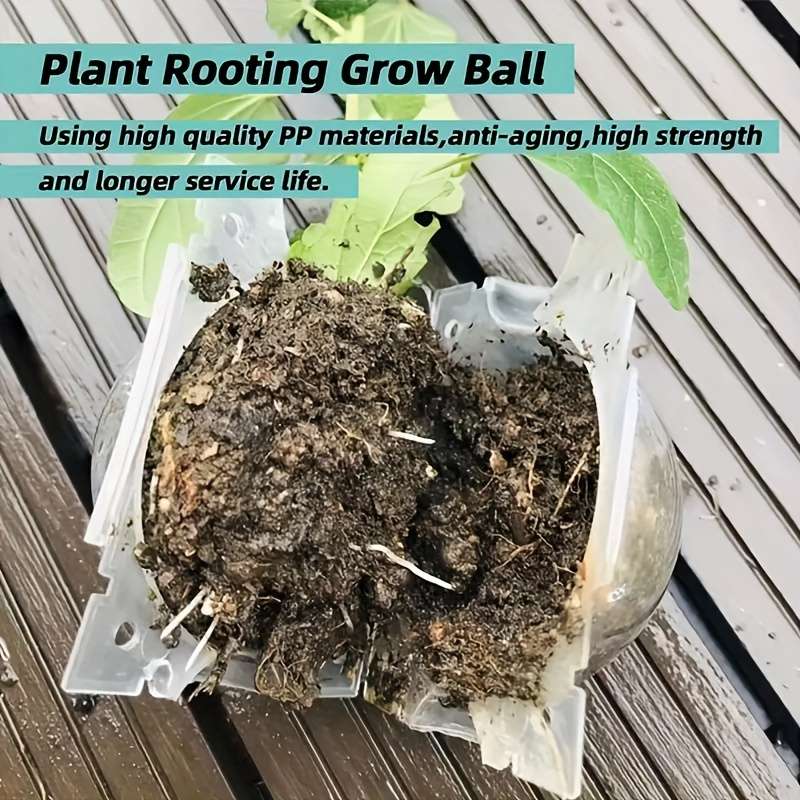 10-Piece Plant Root Growth Box