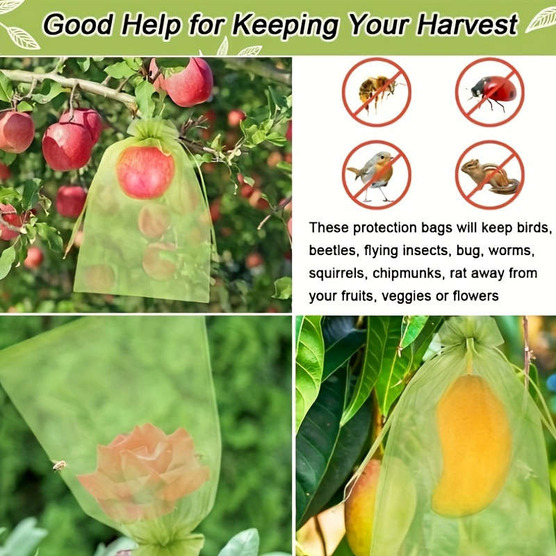 Pack Of 50 Green Mesh Fruit Protector Bags With Drawstring