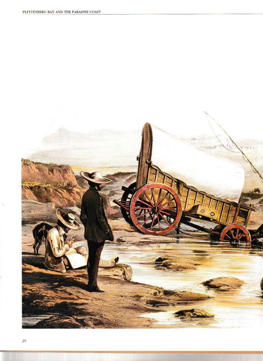 PLETTENBERG BAY, AND THE PARADISE COAST by PATRICIA STORRAR