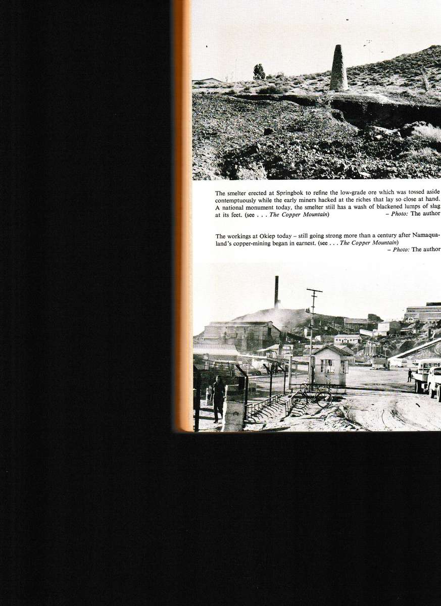 LAND OF THE THIRST KING by WILLEM STEENKAMP