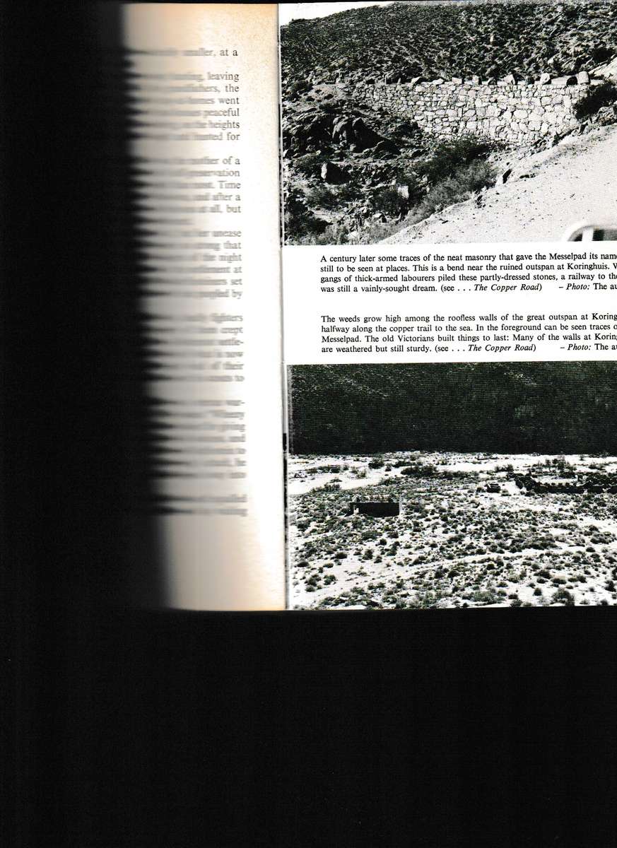 LAND OF THE THIRST KING by WILLEM STEENKAMP