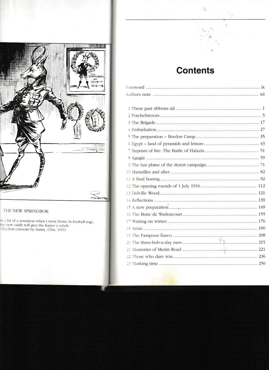 PYRAMIDS AND POPPIES, THE 1ST SA INFANTRY BRIGADE IN LIBYA, FRANCE AND FLANDERS 1915-1919