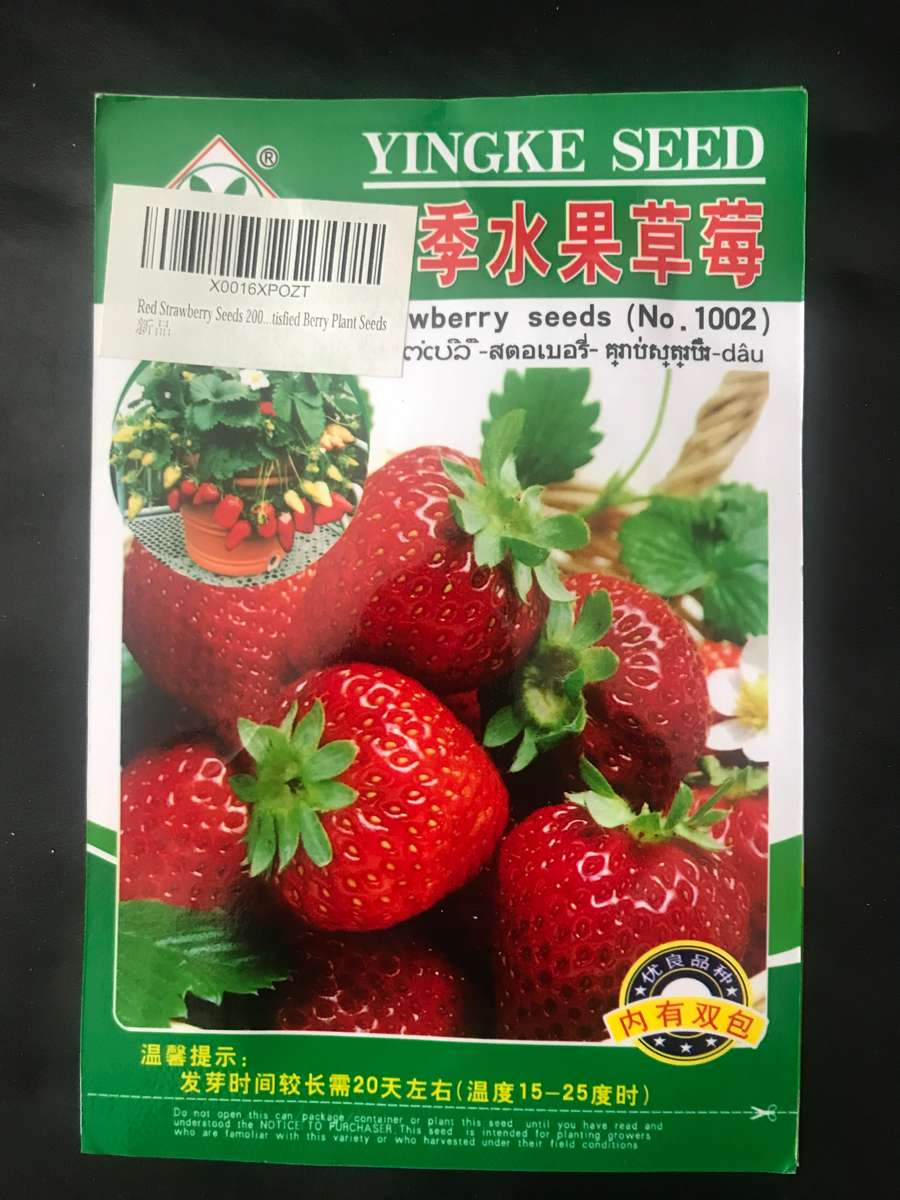 Red Strawberry Seeds 200