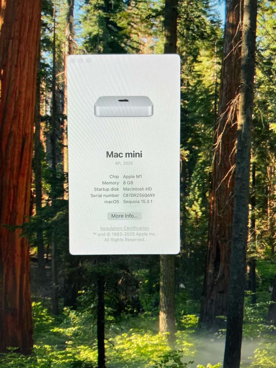 Mac mini M1 (2020) - 8GB RAM, 256GB SSD