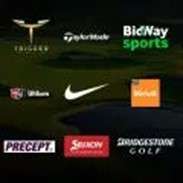 #6 X C GRADE GOLF BALLS + 1 X NEW AVX