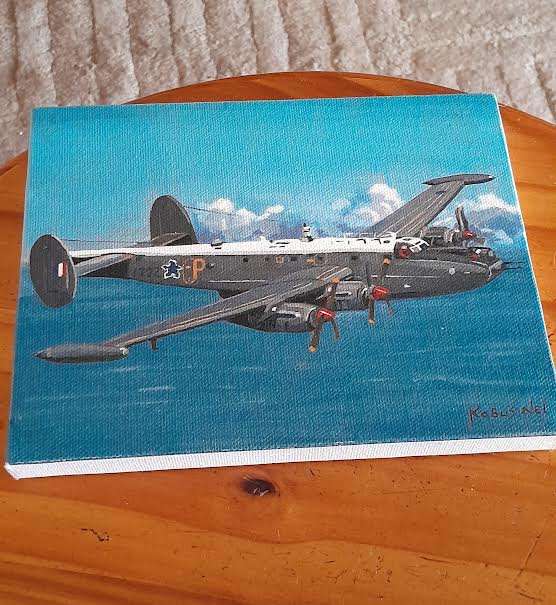 Avro Shackleton canvas painting(17cm X 14cm)