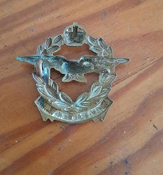 South African Airforce Badge