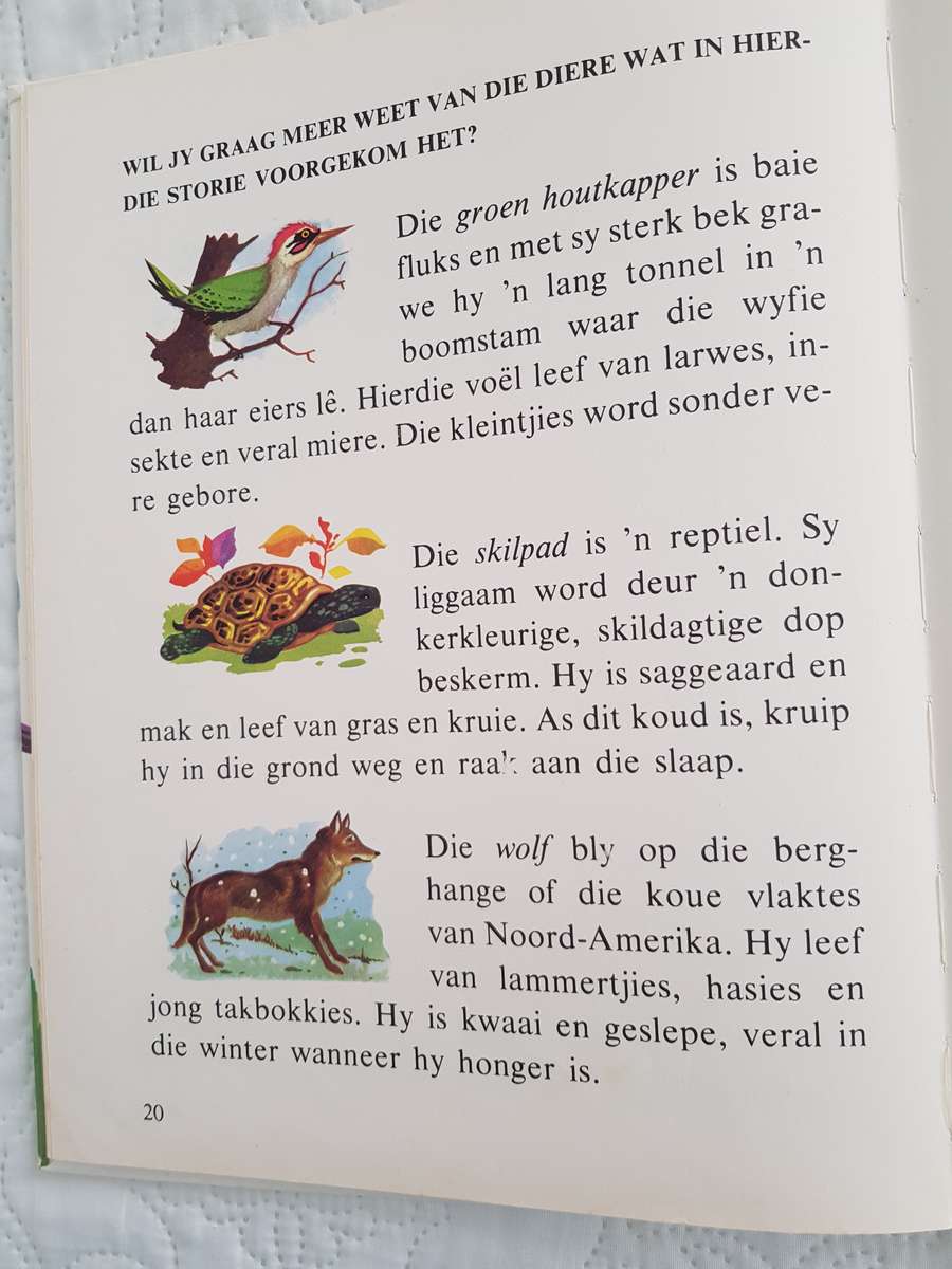 BOKKIE HARDEBAND LEESBOEK VIR KLEUTERS IN AFRIKAANS.