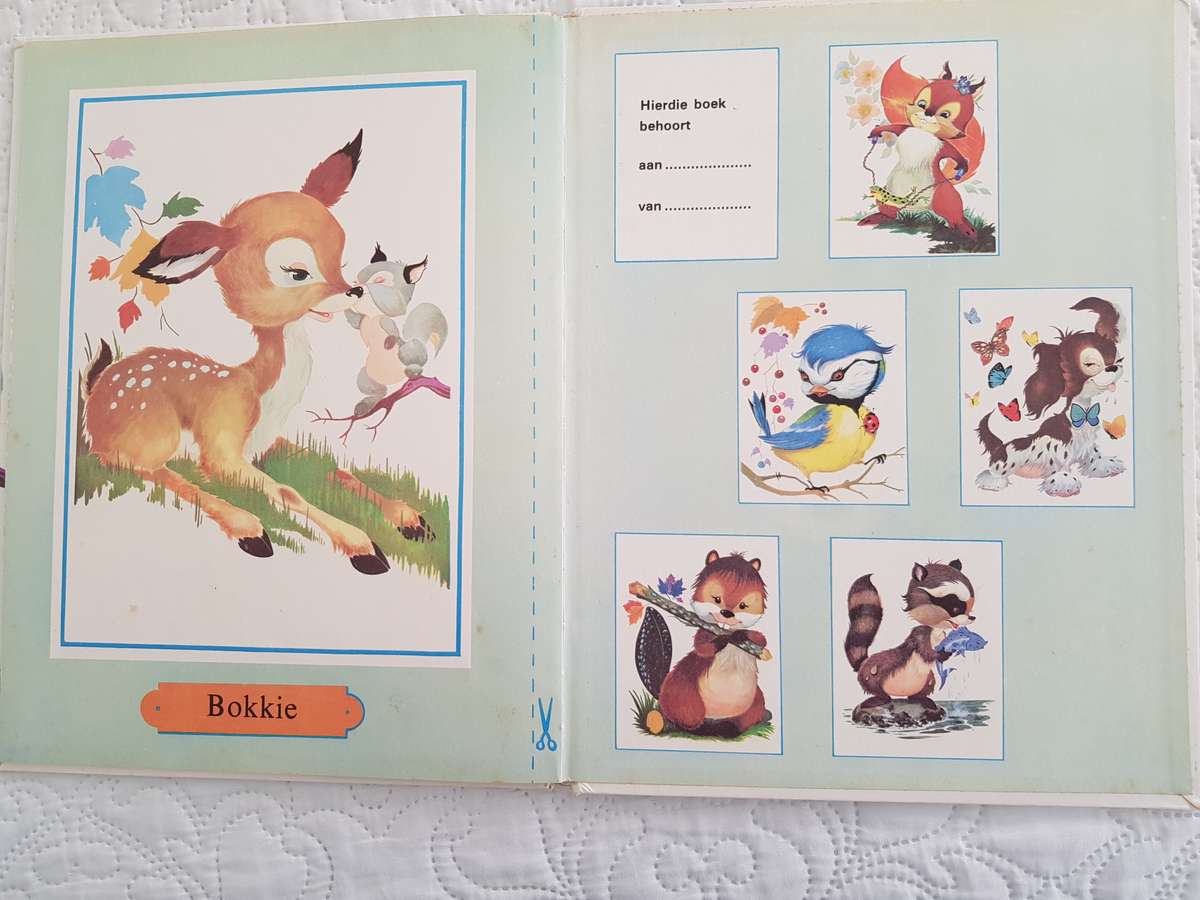 BOKKIE HARDEBAND LEESBOEK VIR KLEUTERS IN AFRIKAANS.