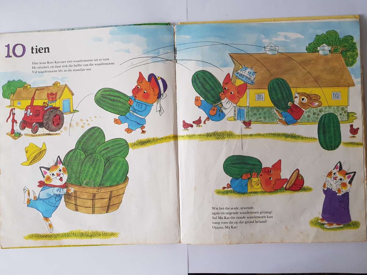 AFRIKAANSE - MY EERSTE TEL- EN OPTEL BOEK VIR KLEUTERS.