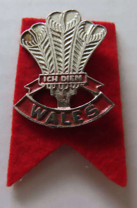 Rugby - Wales Pin