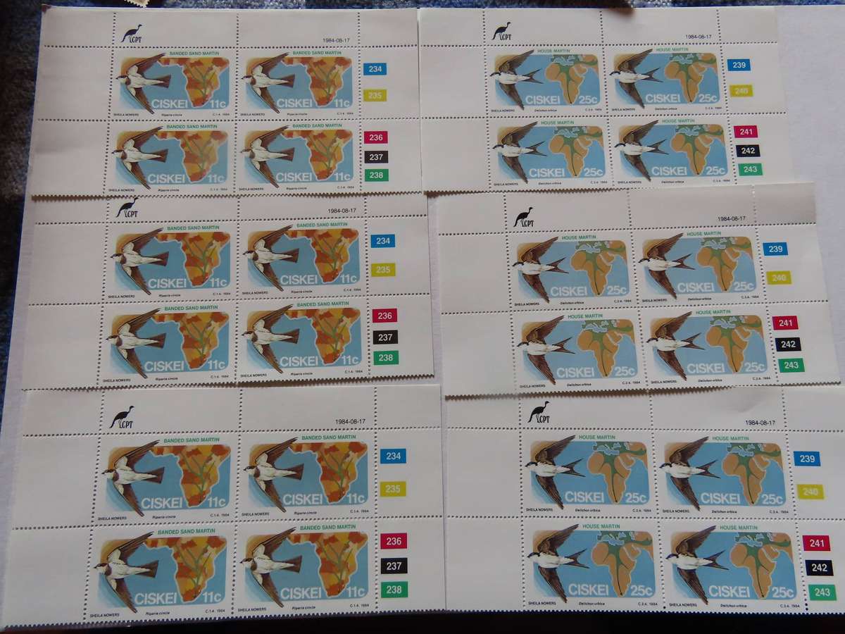 Ciskei - Job Lot Stamps and Blocks