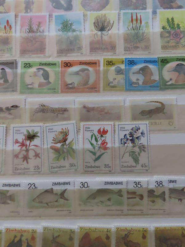 Zimbabwe - Nice Lot from Start of Zimbabwe MNH