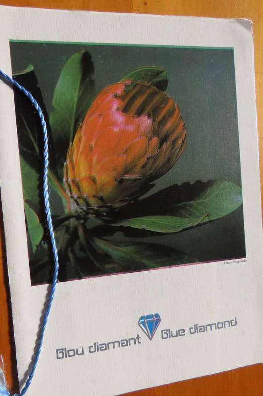 South African Airways (SAA) - Blue Diamond Menu