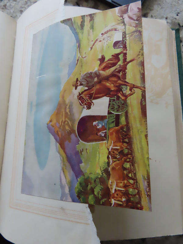 Books - Our South Africa Past and Present - Complete set of Cards