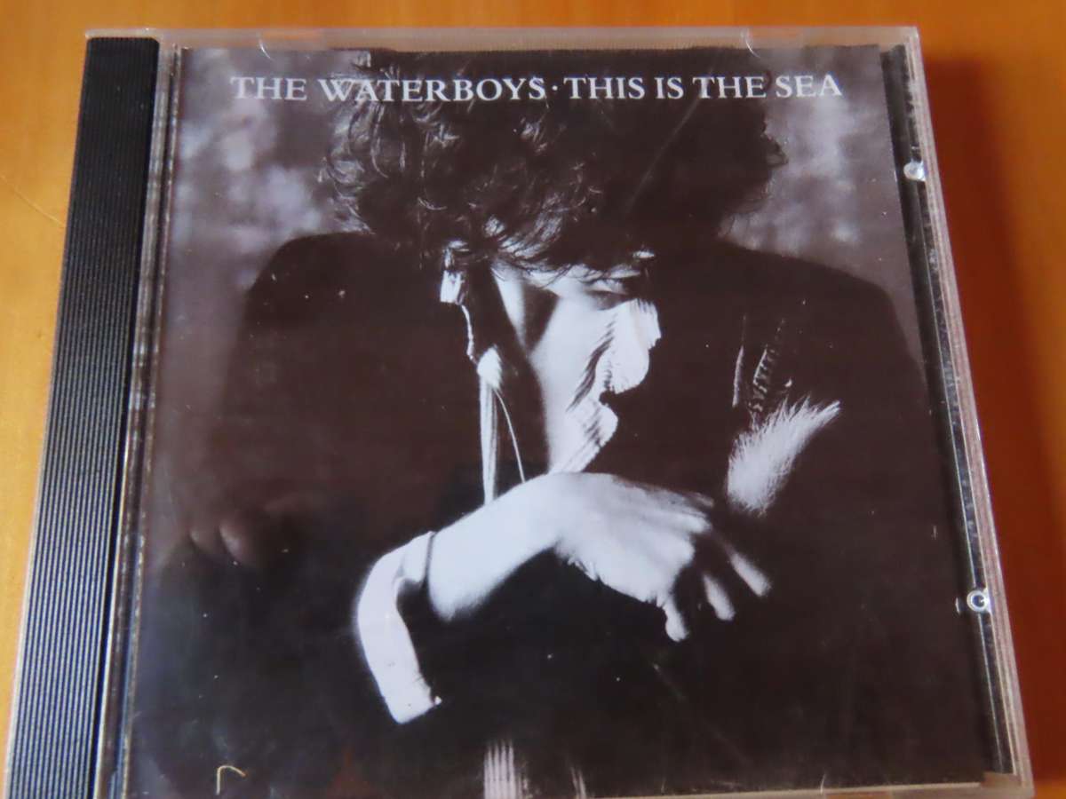 CD - The Waterboys - This is The Sea
