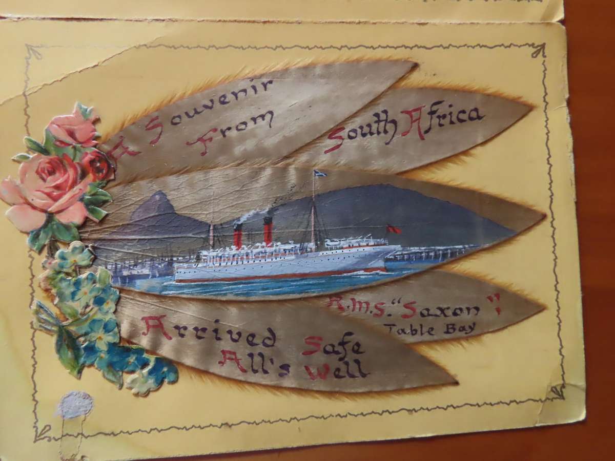 Silver Leaves (Everlasting) From Table Mountain - with arrival of R.M.S. Saxony