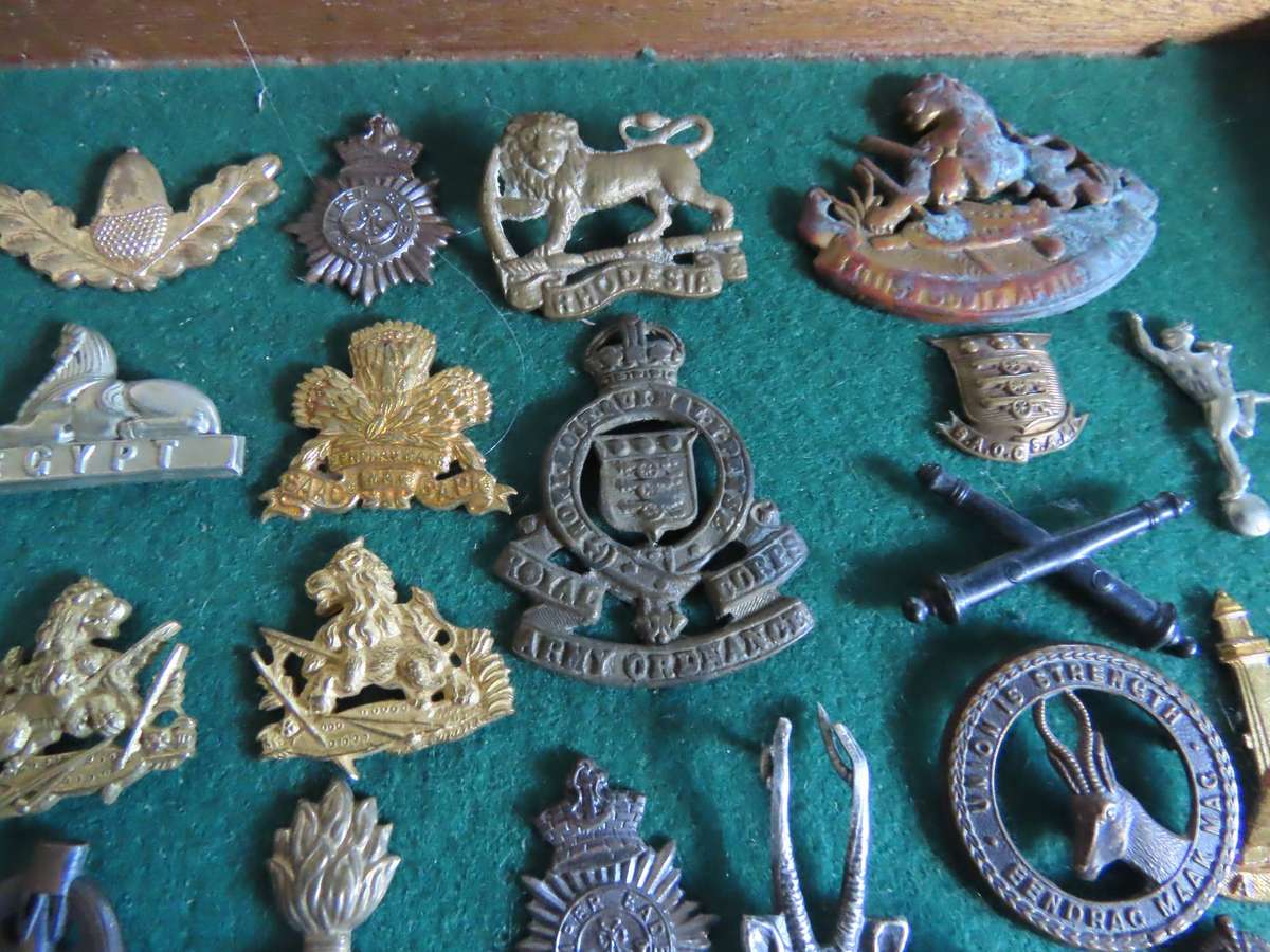 Military - Job Lot of 37 Military Badges Missing Lugs