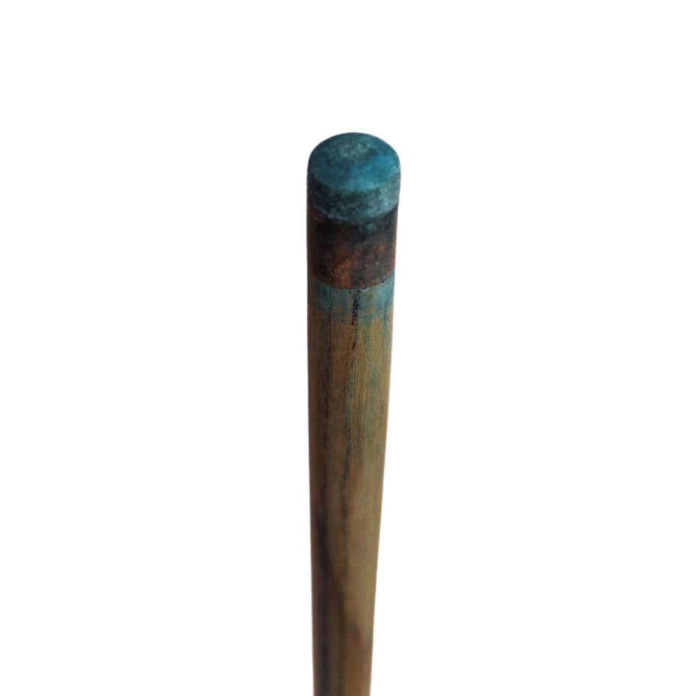 Pool Cue with Case