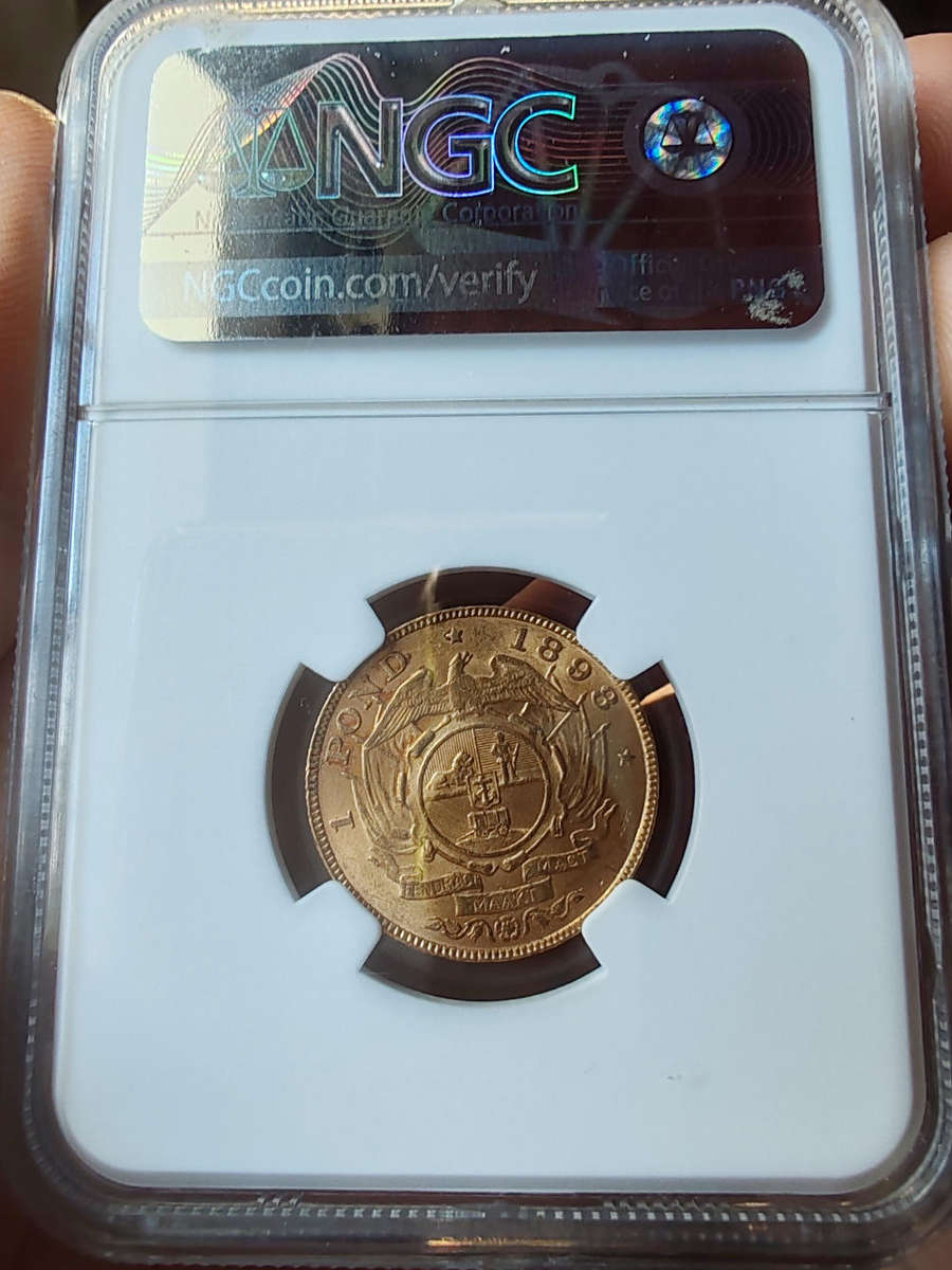 1898 Zuid-Afrikaansche Republiek (ZAR) Gold 1 Pond  NGC MS62