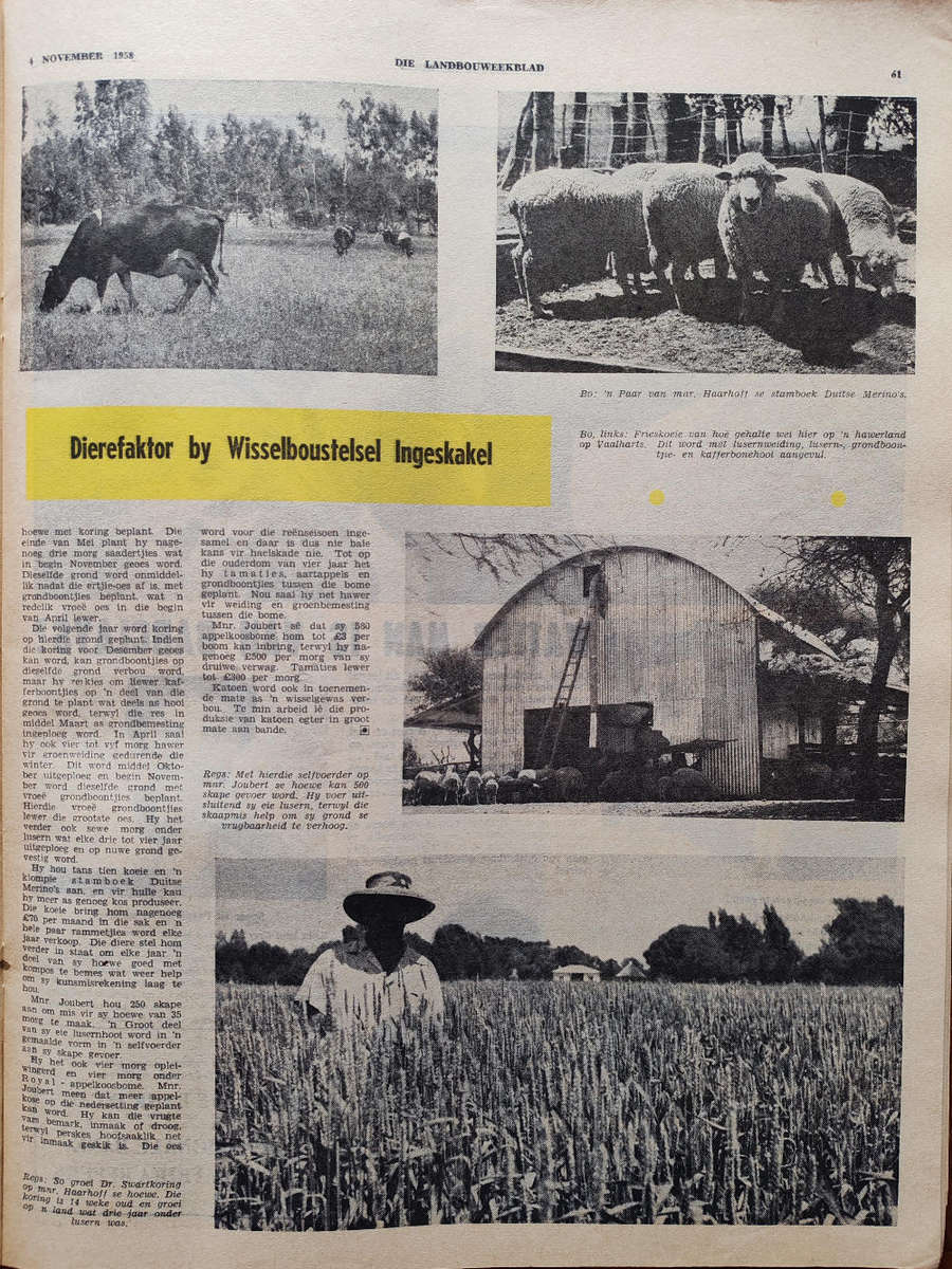 Landbouweekblad  4 November 1958 (Fair Condition)