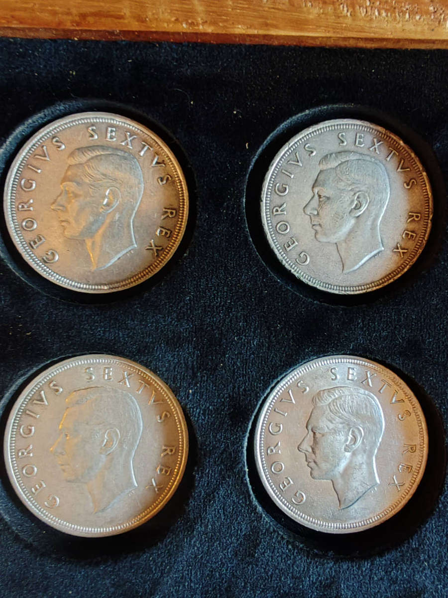 15 × South Africa 5 Shillings  1949 (80% Silver)  Beautiful Wooden Display Case