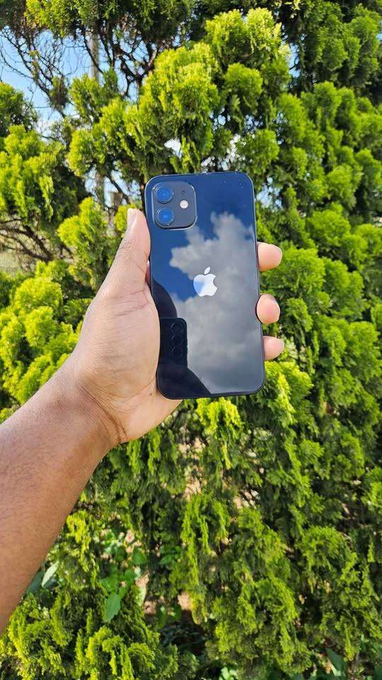 Apple iPhone 12 64GB  Grade B / Good Condition | Phone + USB-C Cable