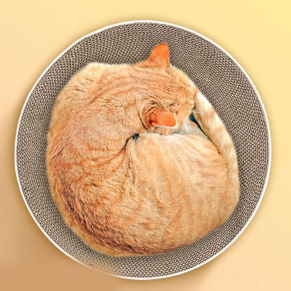 Pet Safe Durable Round Corrugated Scratch Board Lounging Bed (40x10cm)