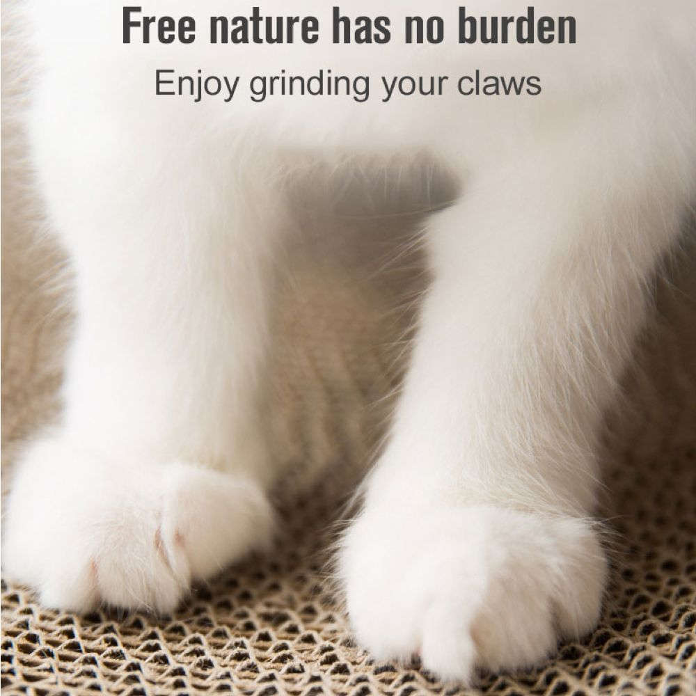 Pet Safe Durable Round Corrugated Scratch Board Lounging Bed (40x10cm)