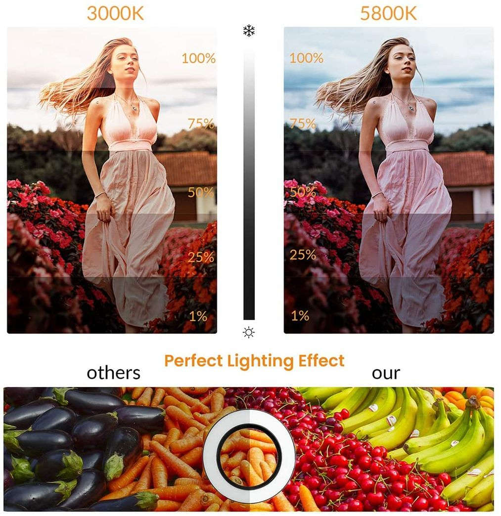 12 Inch Ring Light with 210Cm Tripod Selfie Ring Light For Live /Make up