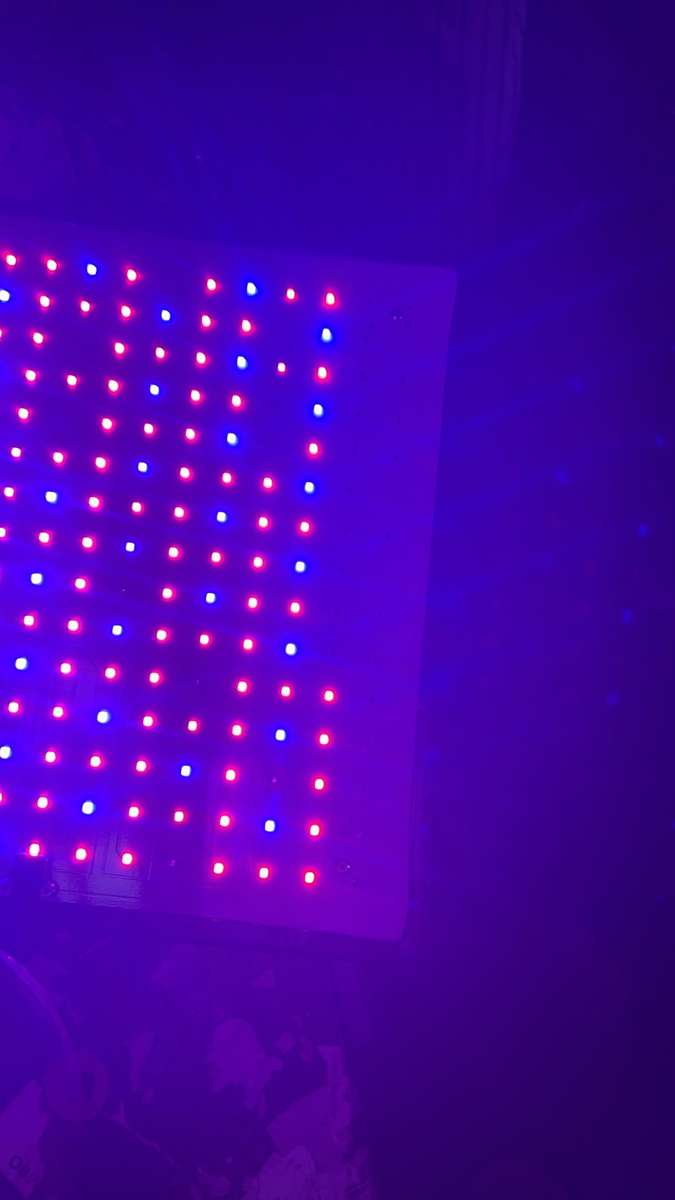 600w Plant Growing LED Light