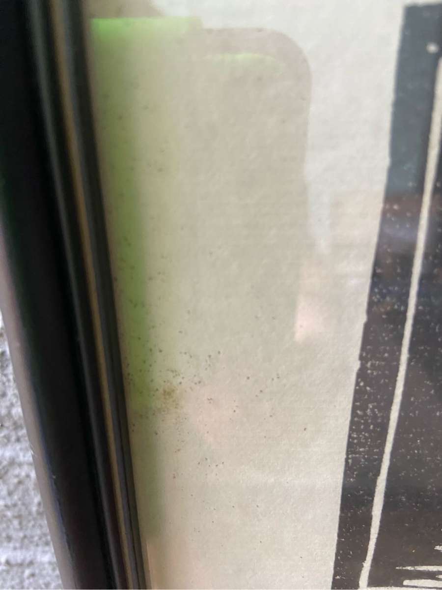 Gregoire Boonzaier Lithograph 1978