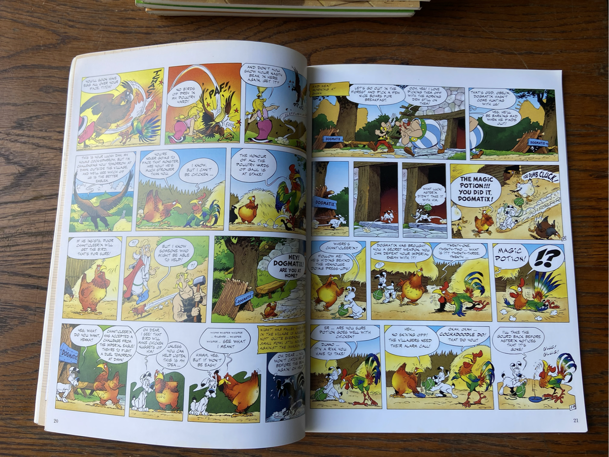 Asterix Comic Books (28 books)