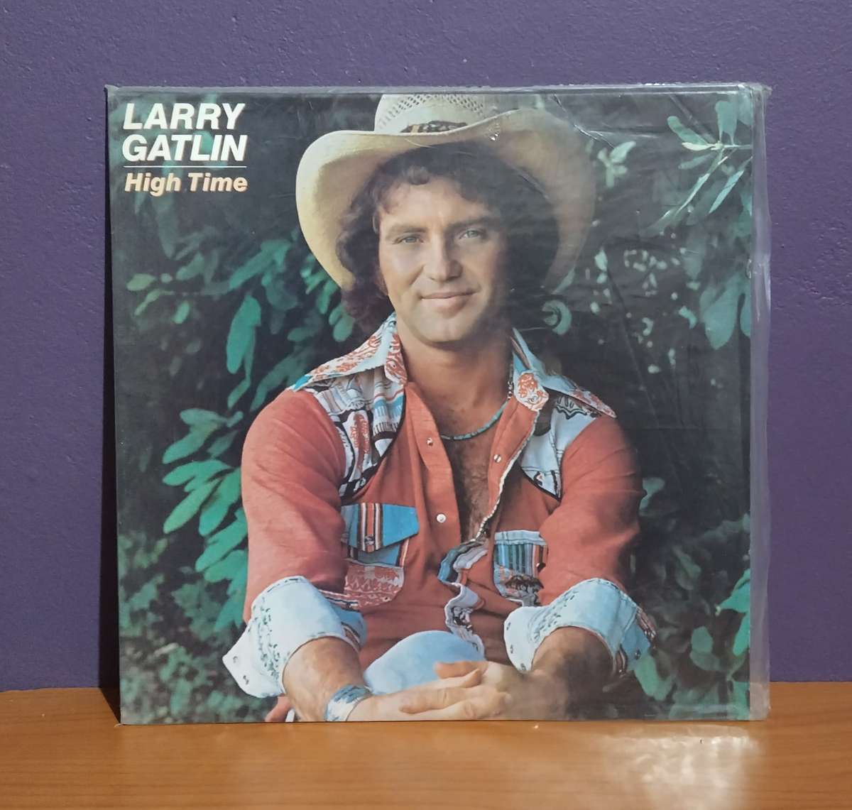 Larry Gatlin High Time - Vinyl LP Record - NM