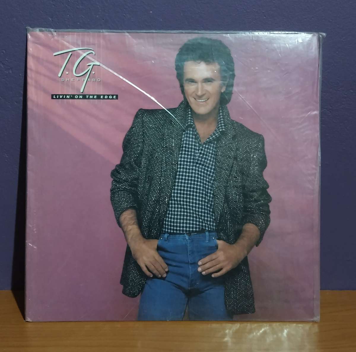 TG Sheppard Livin' on the Edge - Vinyl LP Record - G+