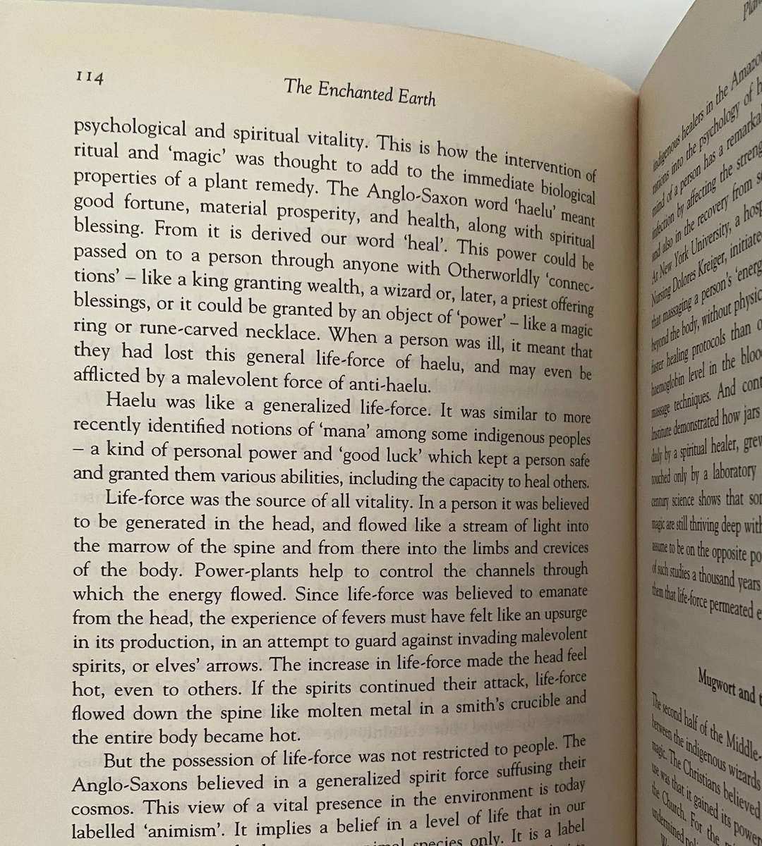 The Real Middle-Earth by Brian Bates  Hardcover  The Magic & Mystery That Inspired Tolkien