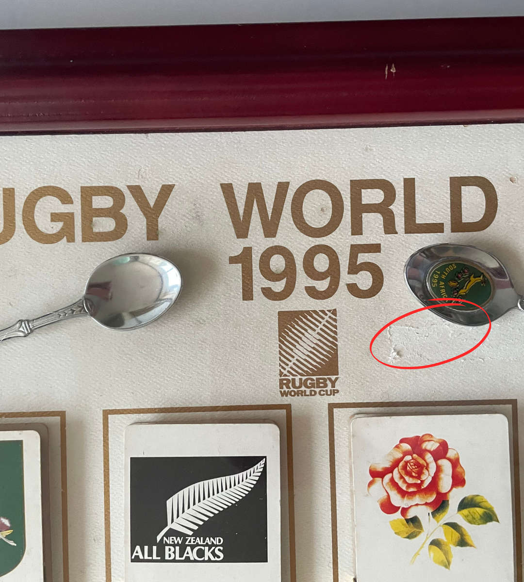 Rugby World Cup 1995 Cabinet Frame with Foldable Booklets & Springbok Teaspoons  Rare Collectible!