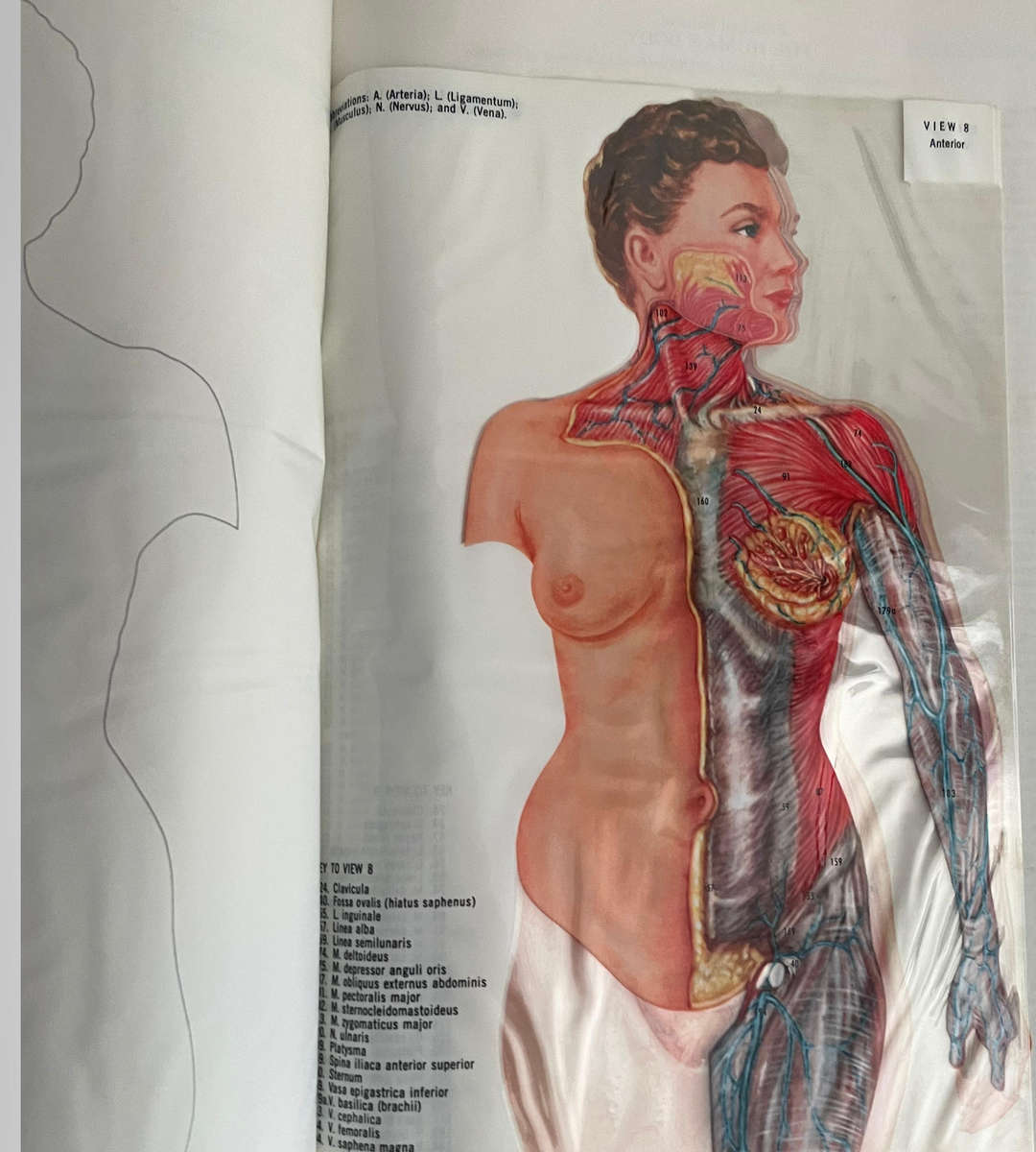 Encyclopedia Britannica 15th Edition (1970s) | 32-Volume Set  40 Books Total | Classic Reference