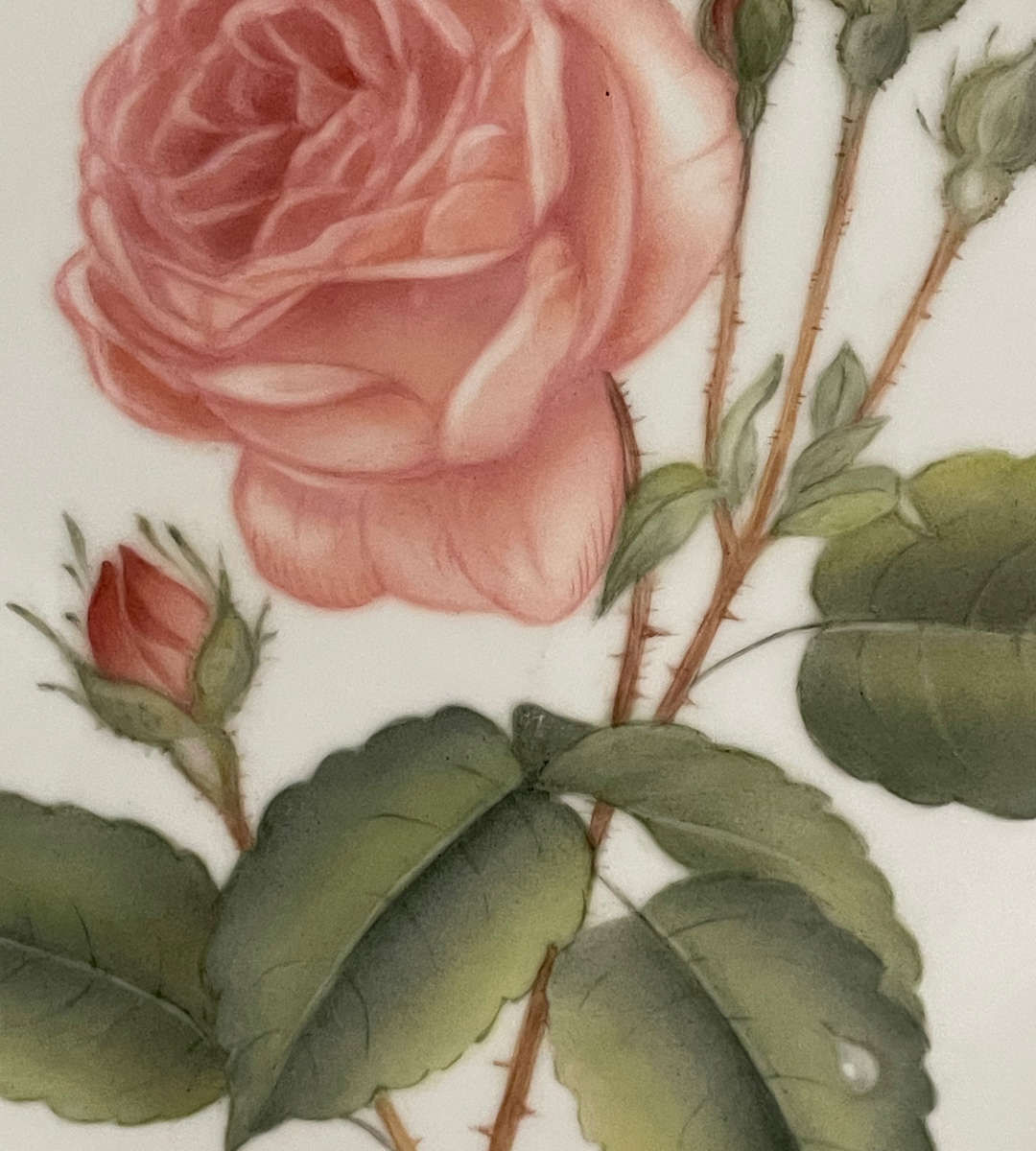 Set of 2 Decorative Hand-Painted Wall Plates by Daphne Karlson (2004)