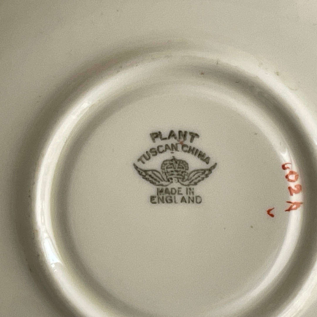 Vintage Art Deco Plant Tuscan China Tea Set  22K Gold Gilded  Circa 1936+  Made in England  23 P