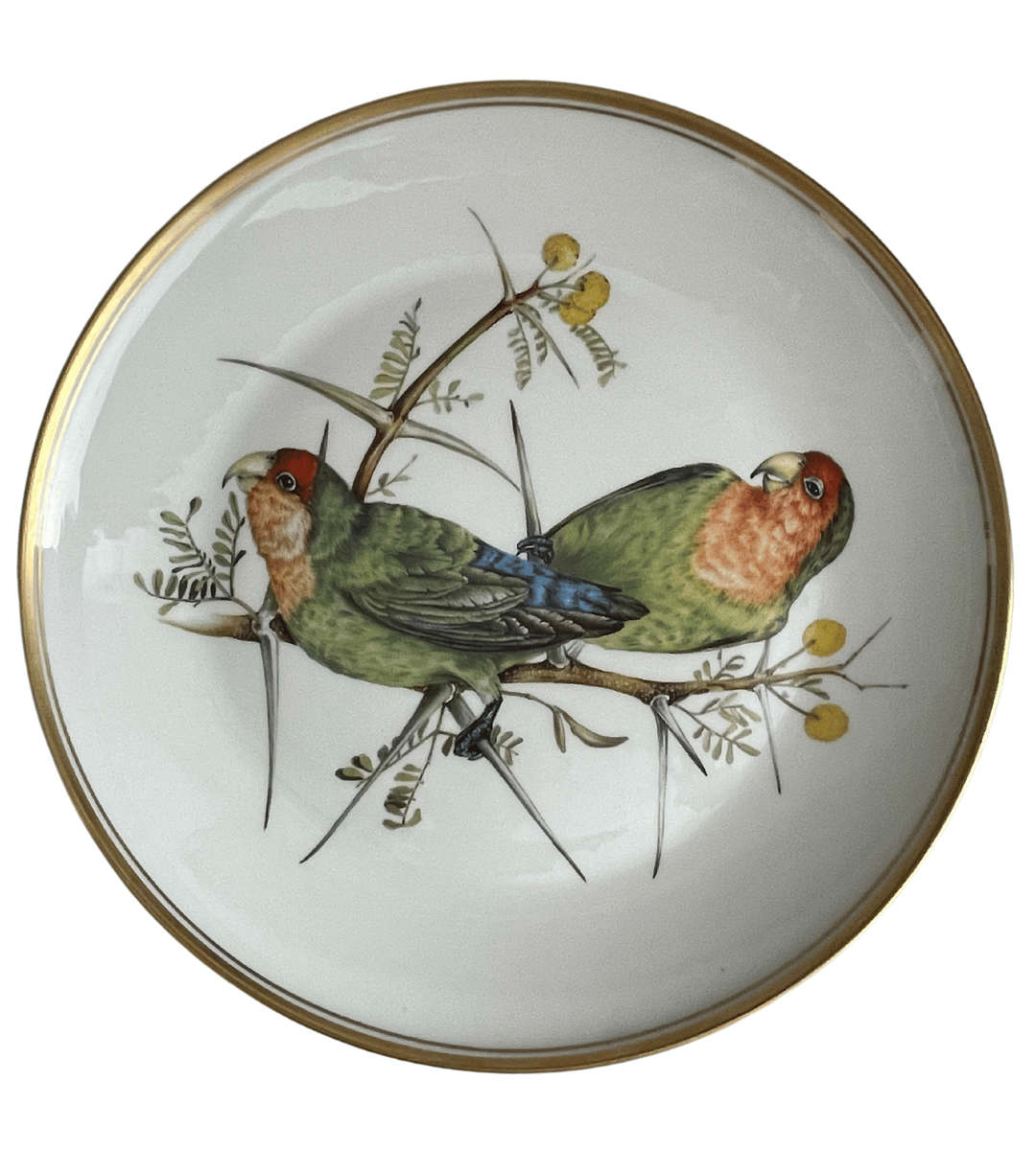 Beautiful Birds of South Africas Wilds Plate - Lovebirds Design Plate