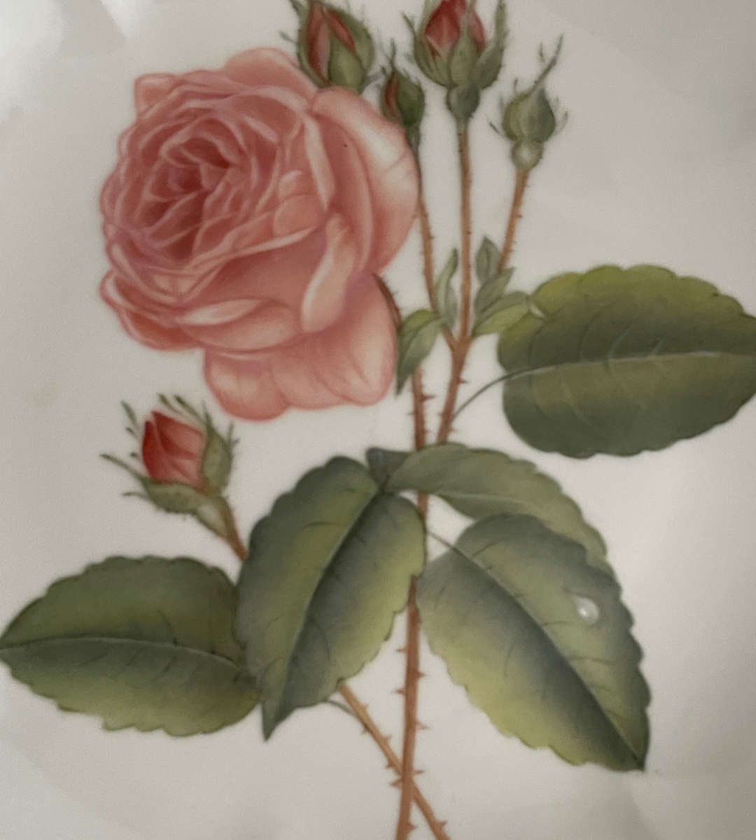 Set of 2 Decorative Hand-Painted Wall Plates by Daphne Karlson (2004)