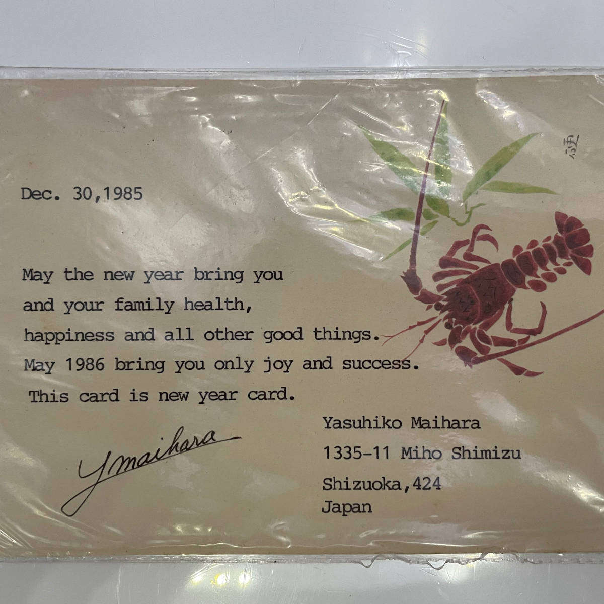 2 Japanese Postcards (1985) to South Africa  New Year Greeting & Durban Riot Reference  With Stamp