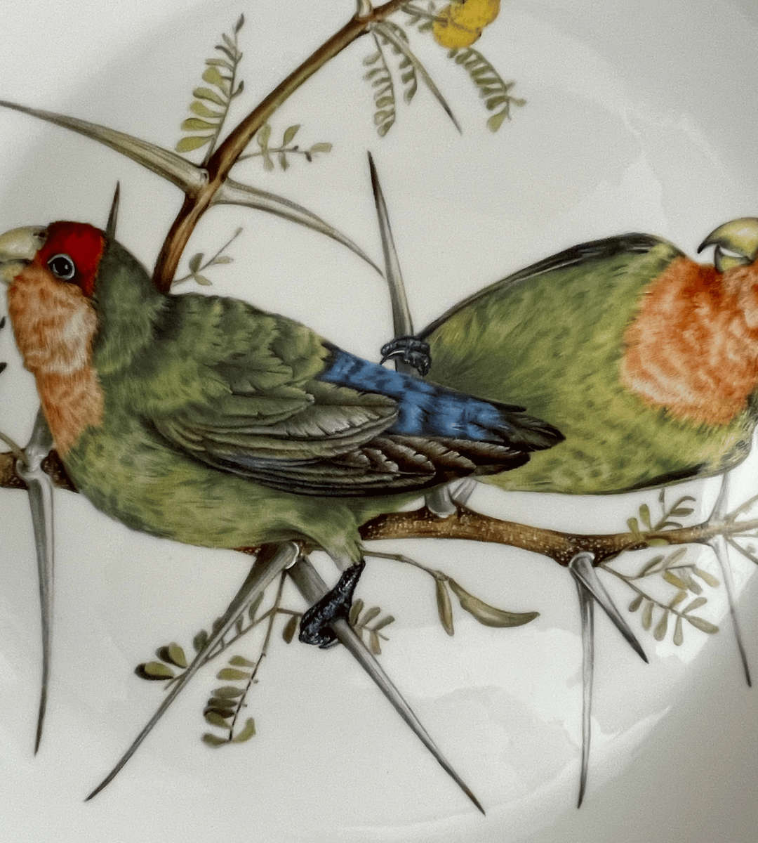 Beautiful Birds of South Africas Wilds Plate - Lovebirds Design Plate