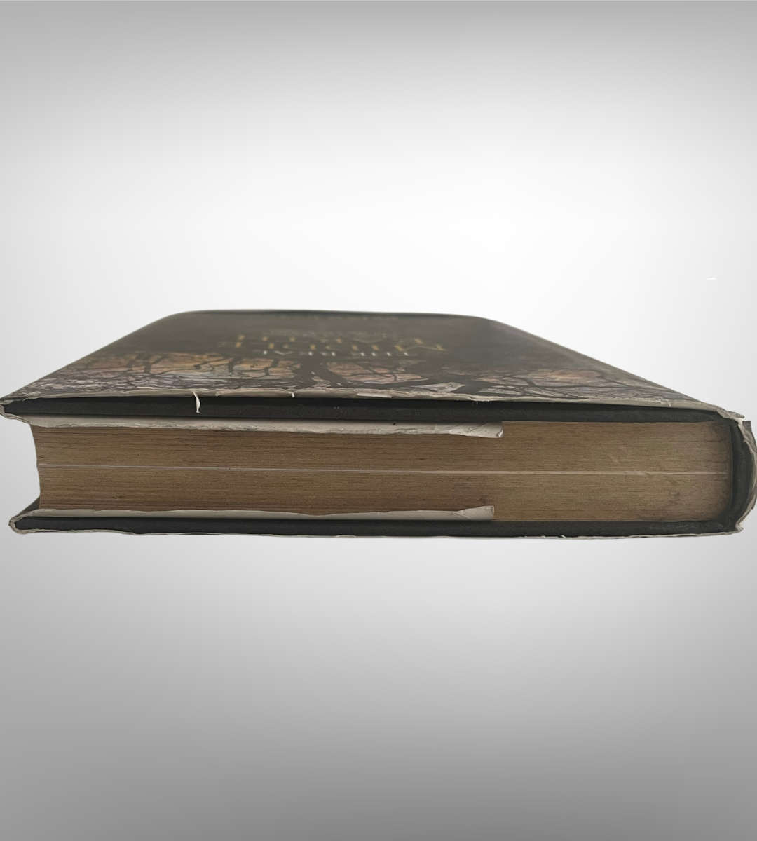 The Real Middle-Earth by Brian Bates  Hardcover  The Magic & Mystery That Inspired Tolkien