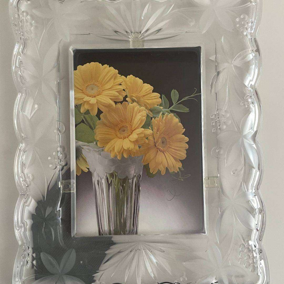 Garden Terrace Frame by Mikasa  Holds 12.7cm x 17.8cm photo