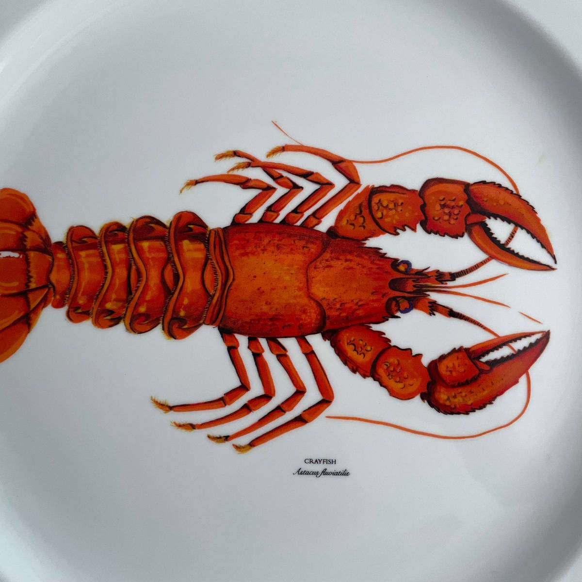 Boardmans Essence Porcelain Lobster/Crayfish Serving Platter  36 cm  Dishwasher, Oven & Microwave